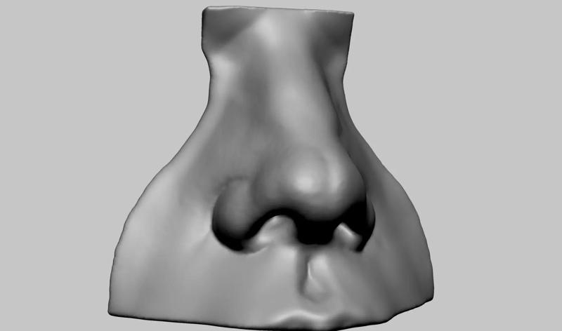 Nose Model
