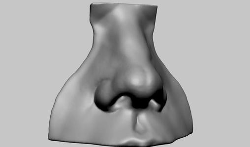 Nose Model