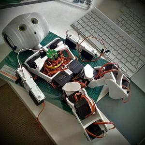 Rb-0t - humanoid robot