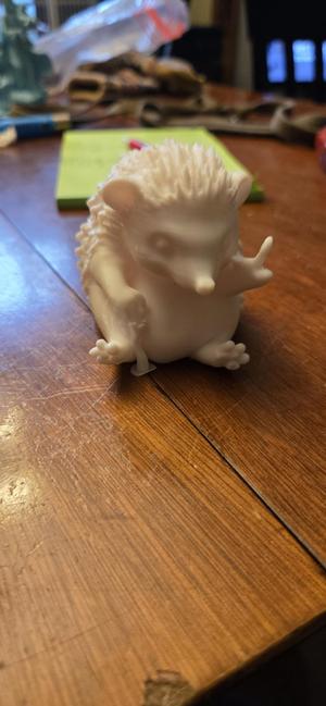 hedgehog flipping the bird