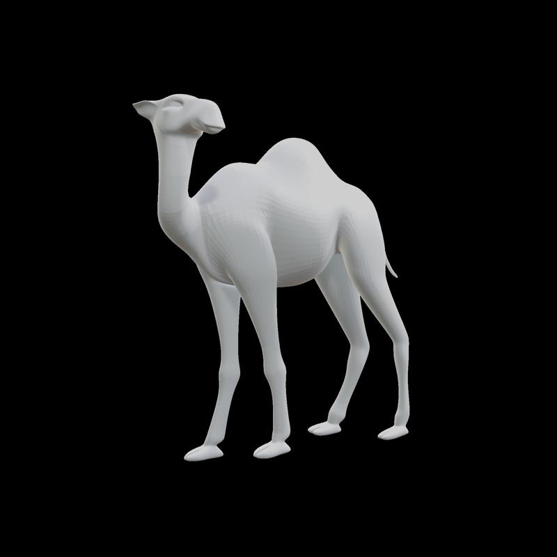 Dromedary
