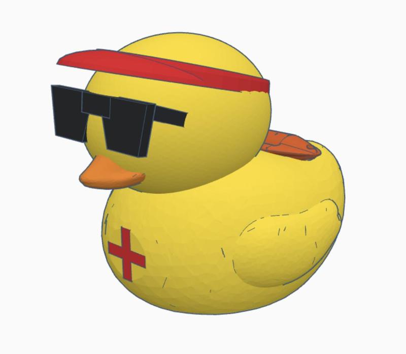 Life Guard cruise duck