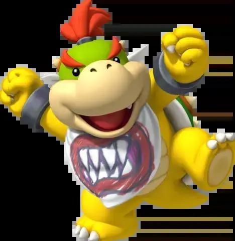 BOWSER JR MARIO BROS