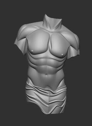 TORSO