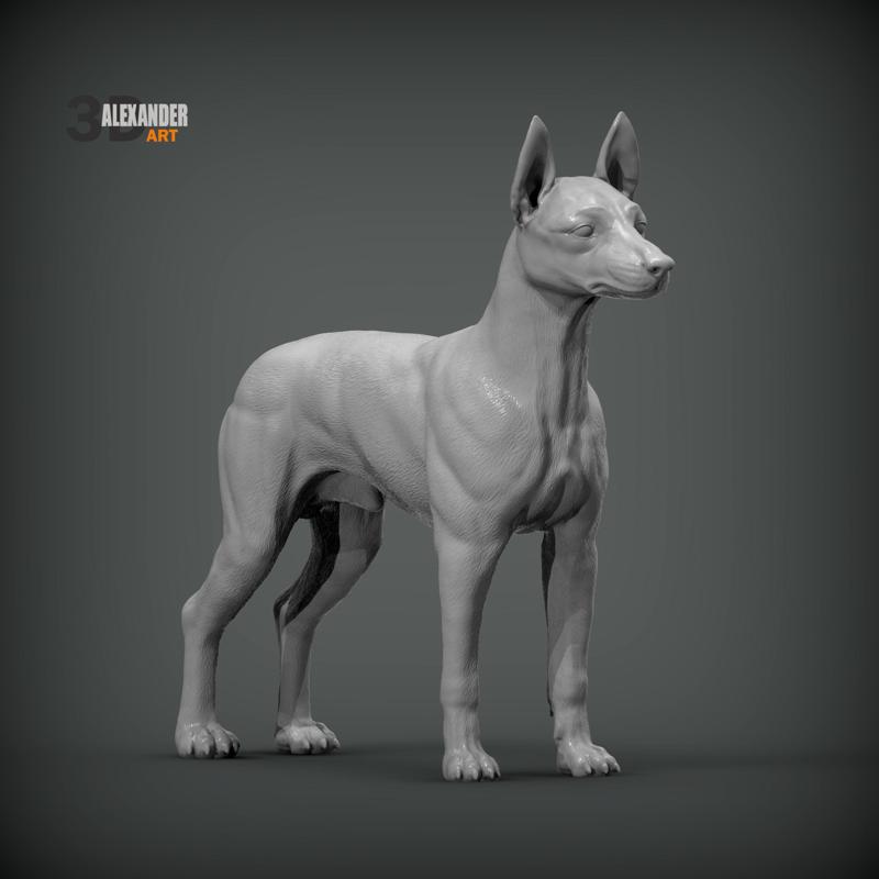 English Toy Terrier