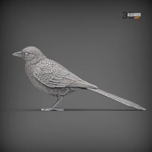 Magpie