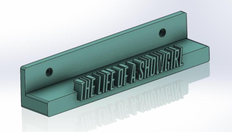 Taylor Swift The Life of a Showgirl Vinyl Wall Mount/Record Wallmount The Life of a Showgirl