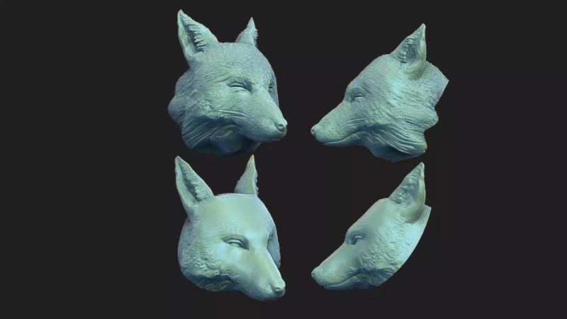 fox heads