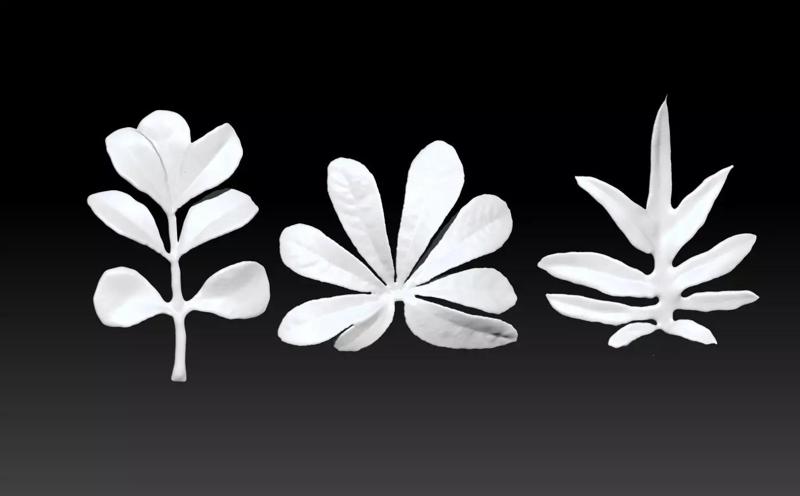 realistic ZB leaf brushes 3D printing leaf STL ZB Leaf Brush