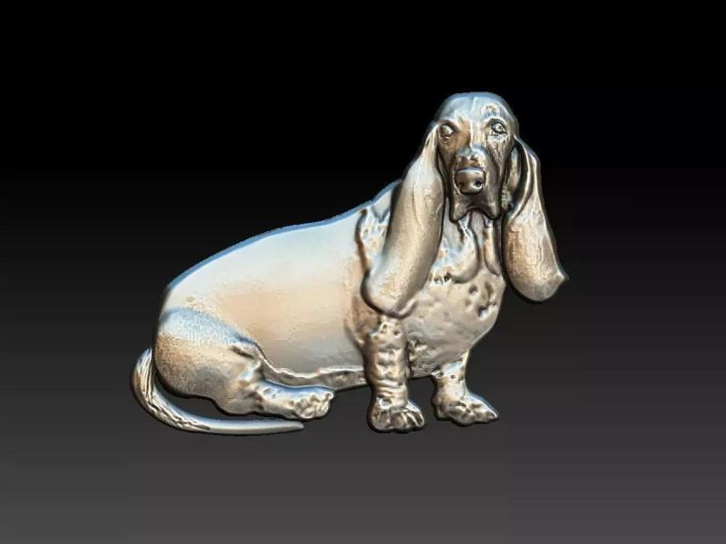 Basset Dog Rlief