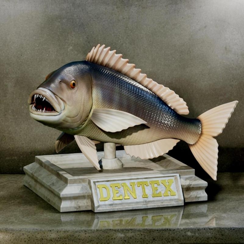 fish Common dentex / dentex dentex trophy statue detailed texture for 3d printing