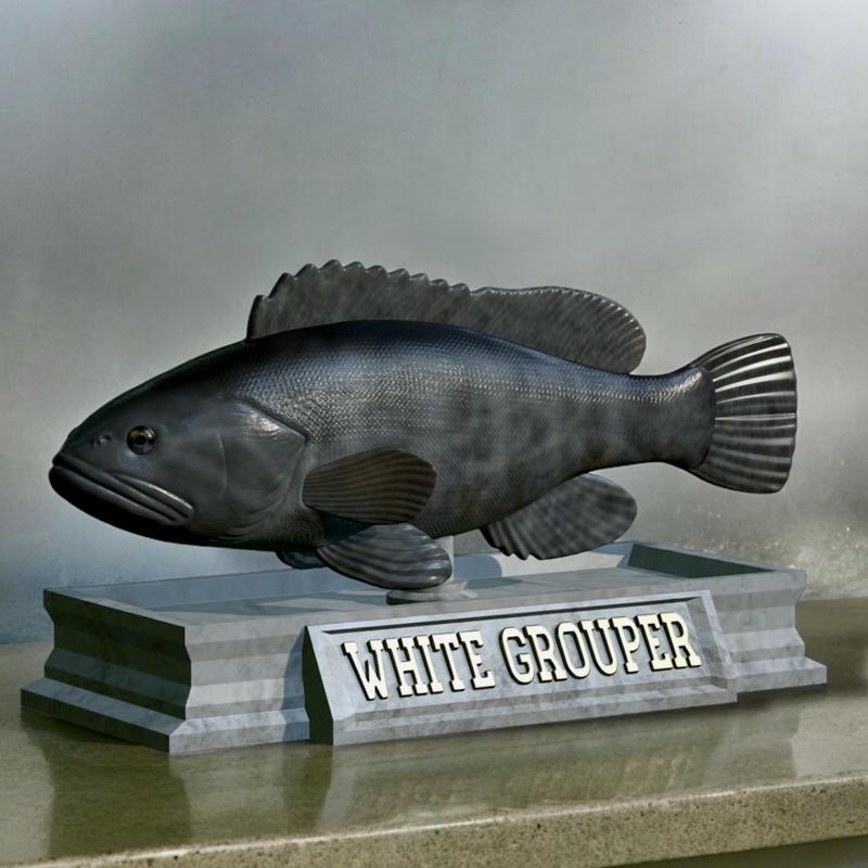 fish white grouper / Epinephelus aeneus statue detailed texture for 3d printing