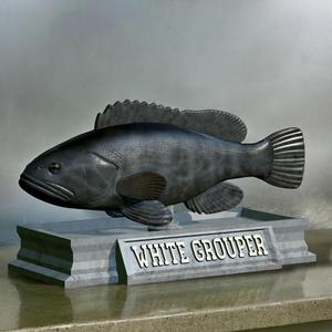 fish white grouper / Epinephelus aeneus statue detailed texture for 3d printing