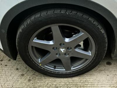 Firefly LOGO Wheel Hub Center Cap