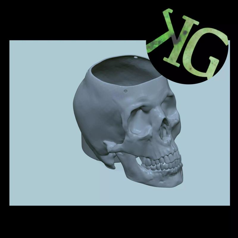 KG Customs   Creations Hanging Skull Planter