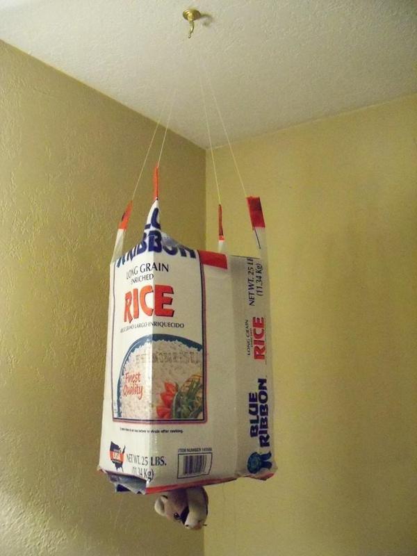 Hanging upside down planter