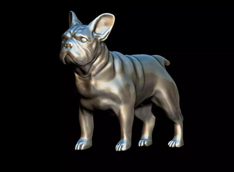 French bulldog