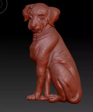 Dog -Labrador