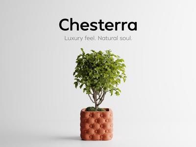 Plant Pot Chesterra – Luxury feel. Natural soul.