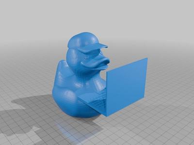 hacker duck