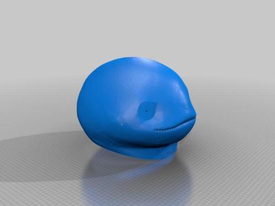 Namazu Helmet