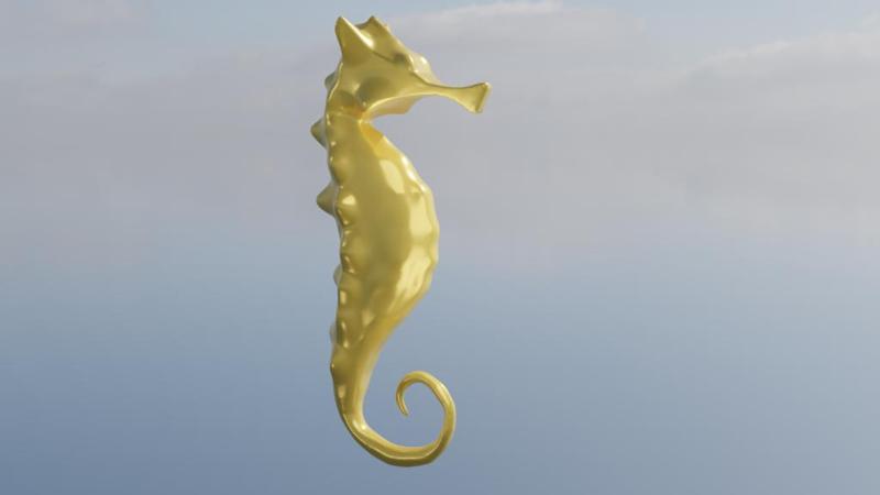 Seahorse
