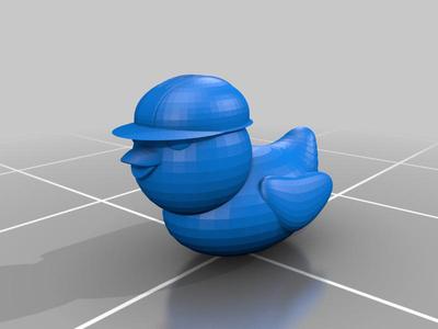 Duck with hat