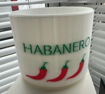Plant Pot for Habanero Chilli Plants