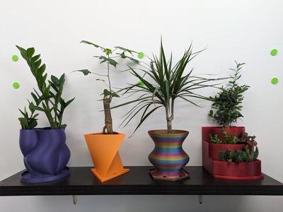 Plant Pot