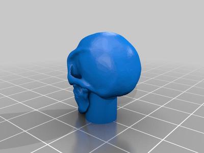 Skull Car Door Puller Knob/Air Caps