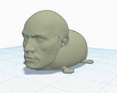 Dwayne The Frog Johnson