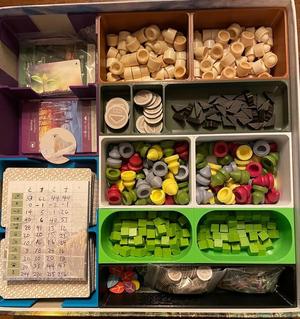 Earth Board Game Insert