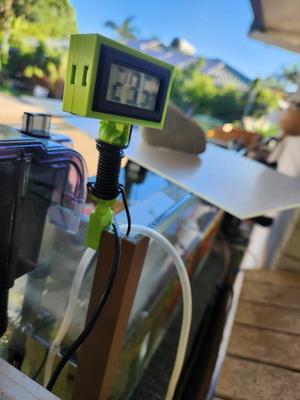 Temp sensor mount for fish tank