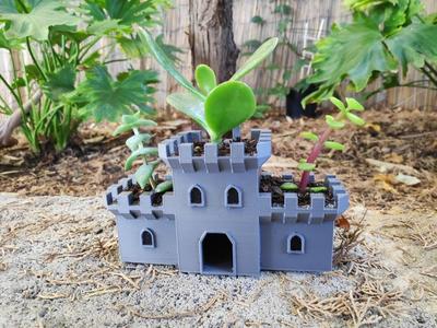 Succulent Plant Castle Pot