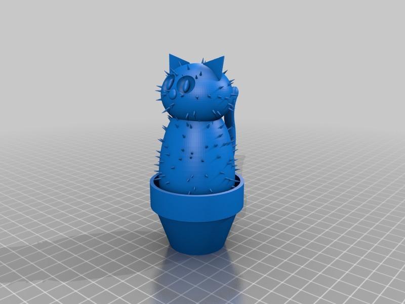 Catcus