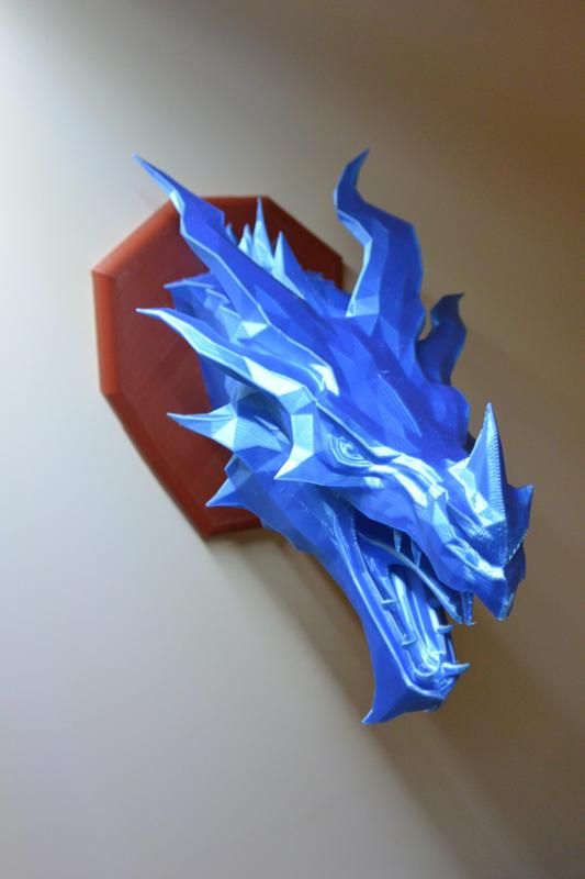 Skyrim ice Dragon wall Trophy