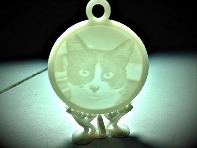 Lithophane Medal of Mori