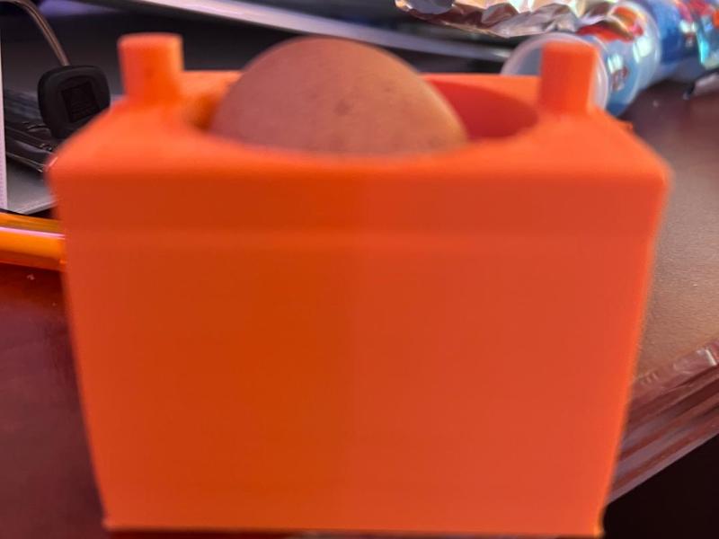single egg  holder/carton