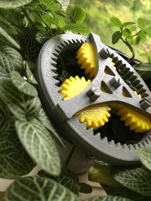 Planetary Gear Set