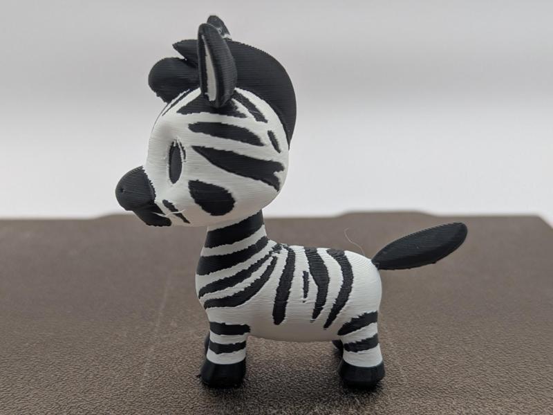 Adorable Baby Zebra