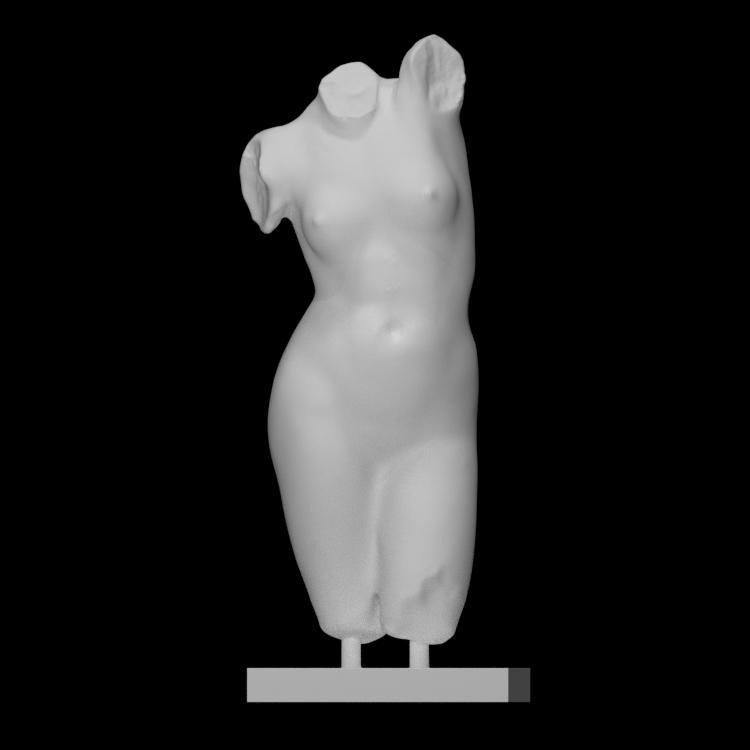 Nude female torso