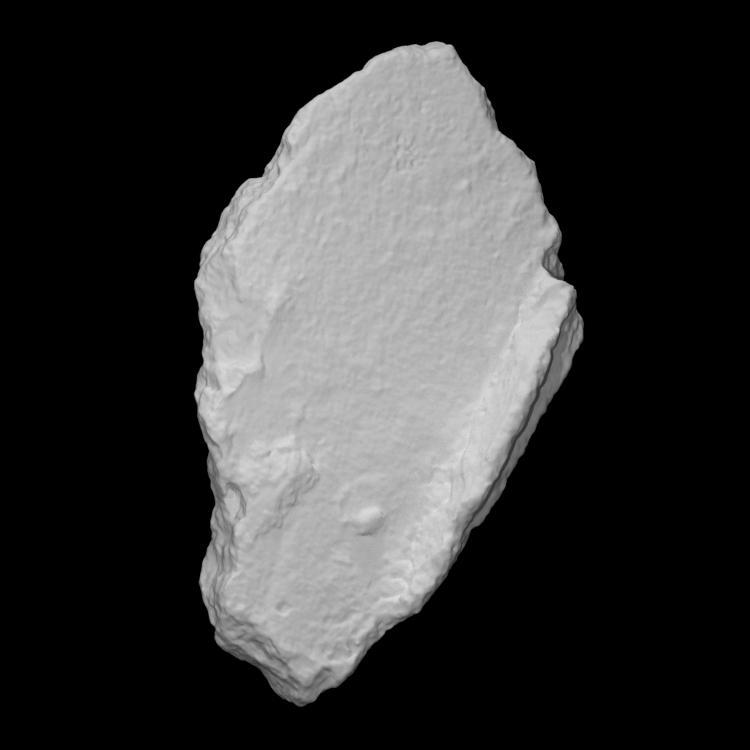 Architectural Mortar