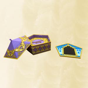 chocolate frog coaster set hp