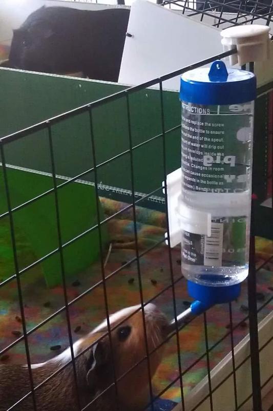 Guinea pig C&C mesh panel pet water bottle adapter hook plate (2 versions)