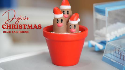 DIGLET CHRISTMAS POT