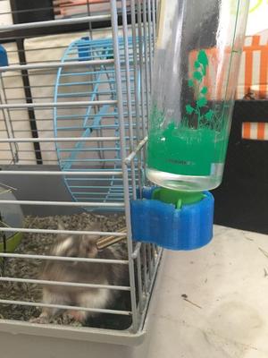 Drink bottle support 