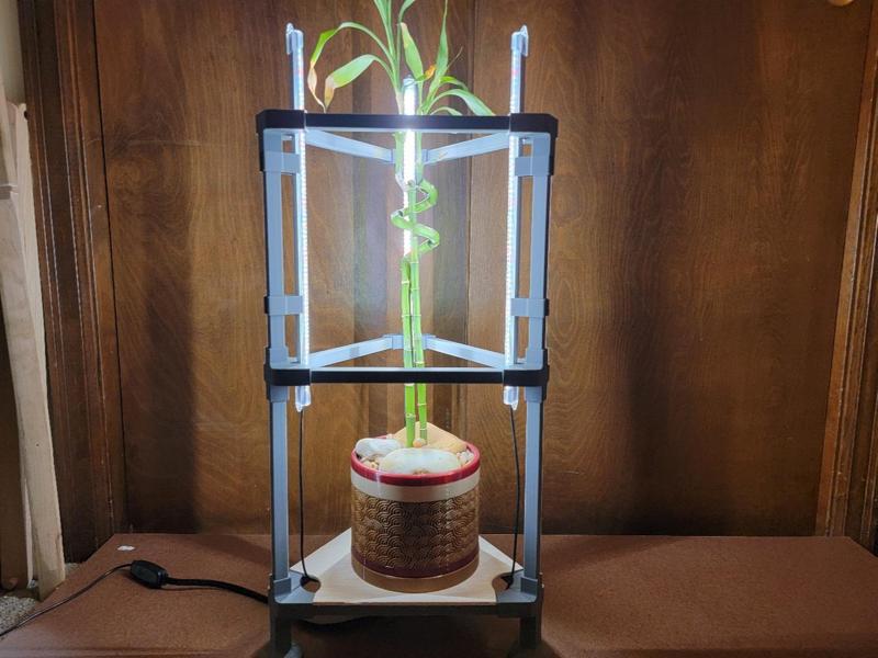 Triangle Plant Stand (with grow light option)