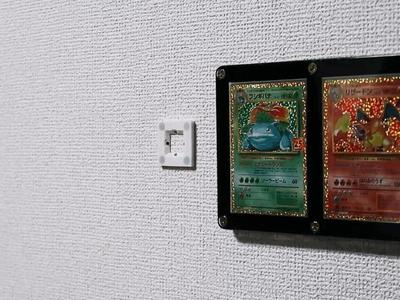 Magnet Mount System