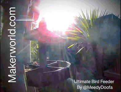 ULTIMATE Bird Feeder by @MeedyDoofa