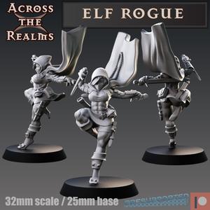Elf Rogue